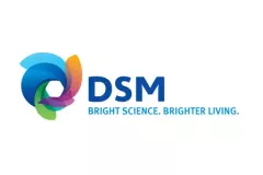 dsm.jpg