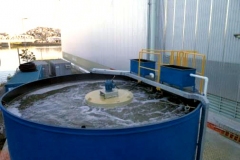 prysmian024