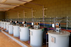 grupoh2oambiental_frutap11