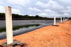 nova_mutum_64