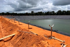 nova_mutum_65