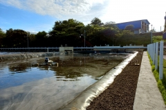 grupoh2oambiental_seara051
